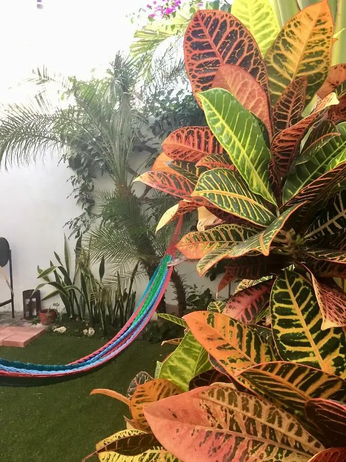 La Casa Del Mexicano Terraza Y Jardin Exoticos 12 Min Del Playa Esmeralda Villa Playa del Carmen Feriehus