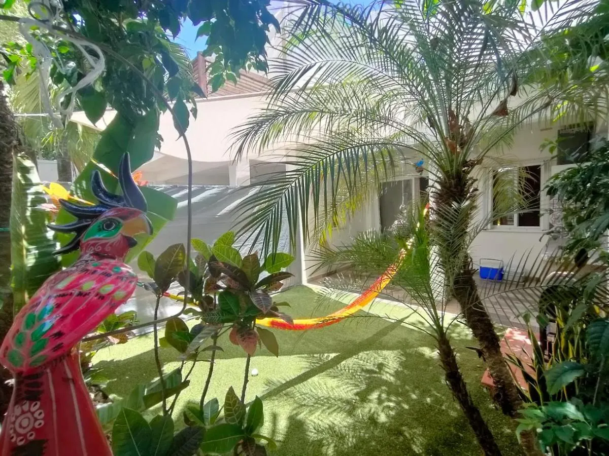 La Casa Del Mexicano Terraza Y Jardin Exoticos 12 Min Del Playa Esmeralda Vila Playa del Carmen