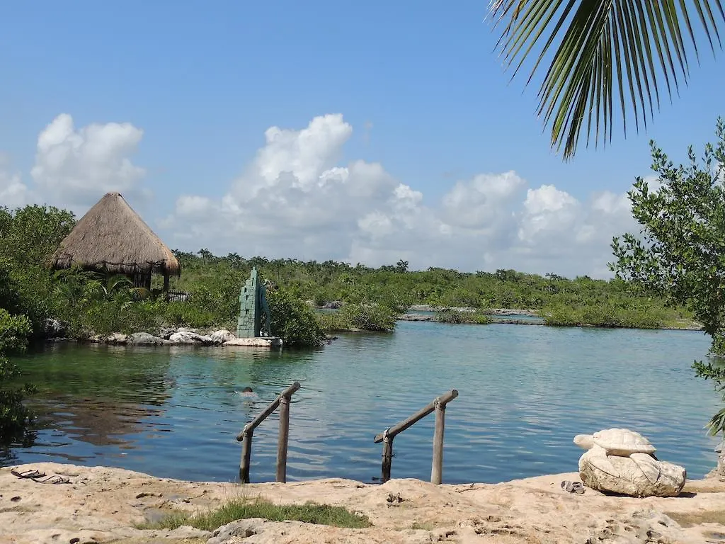 La Casa Del Mexicano Terraza Y Jardin Exoticos 12 Min Del Playa Esmeralda Vila Playa del Carmen 0*,  México