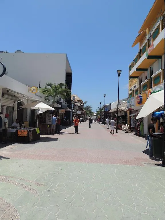 La Casa Del Mexicano Terraza Y Jardin Exoticos 12 Min Del Playa Esmeralda Vila Playa del Carmen 0*,