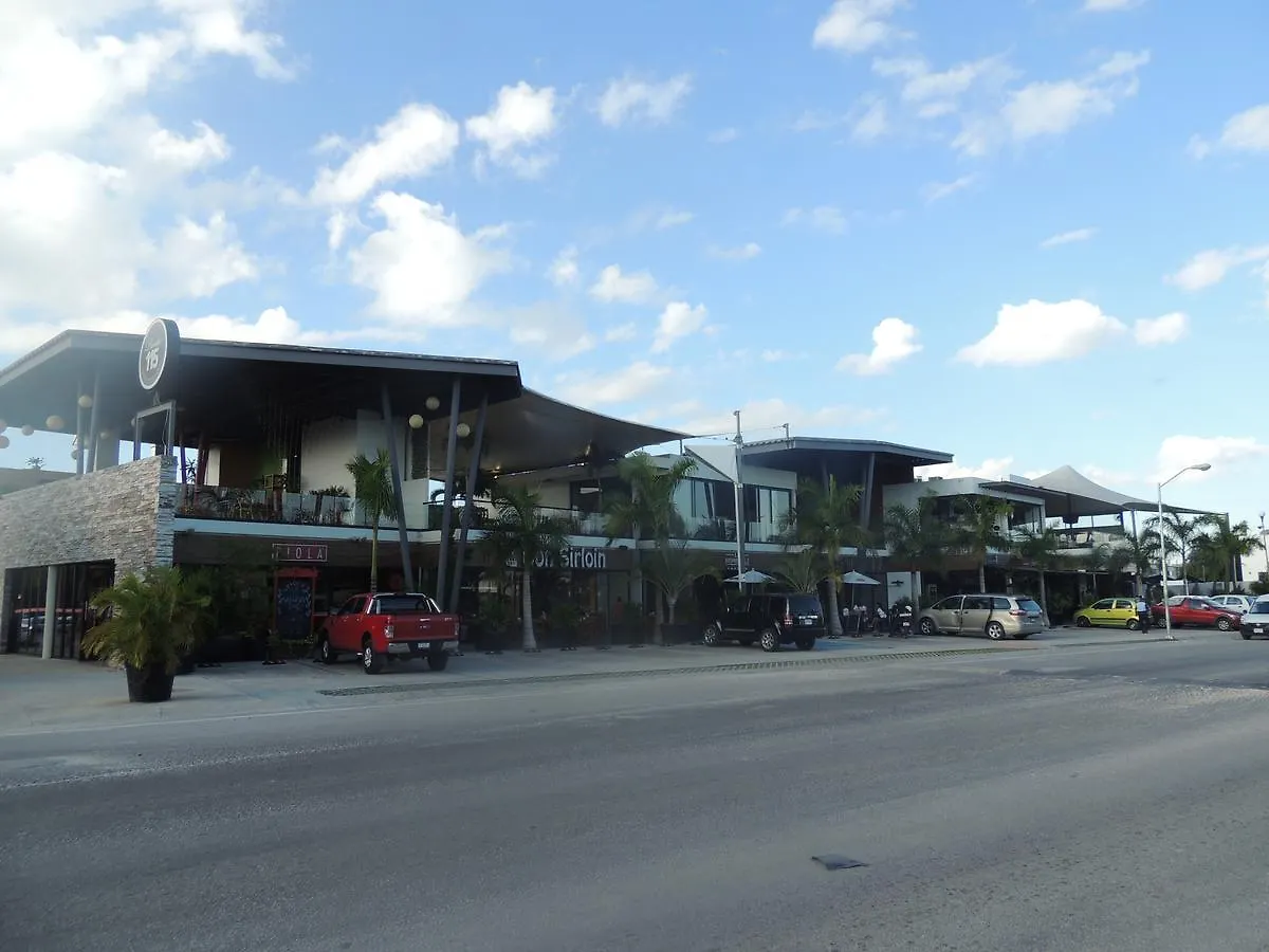 Casa de Férias La Casa Del Mexicano Terraza Y Jardin Exoticos 12 Min Del Playa Esmeralda Vila Playa del Carmen